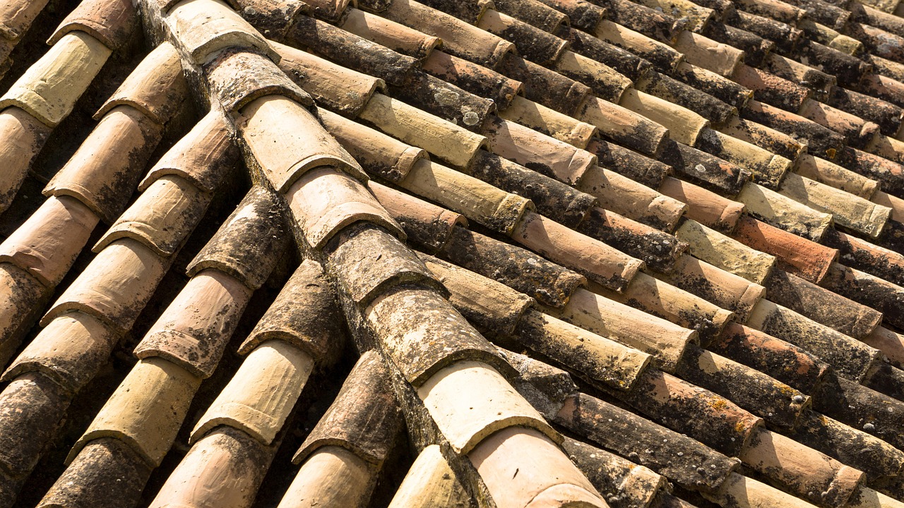 Travaux de charpente bois et isolation toiture